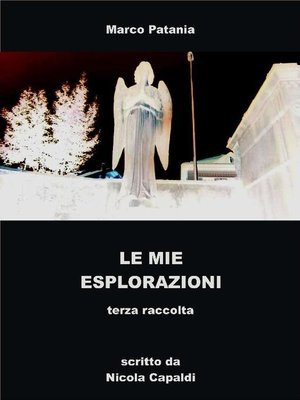 cover image of terza raccolta